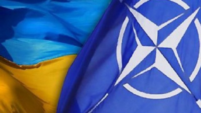 НАТО Проблемы Украины решим но не все НАТО Проблемы Украины решим но не все