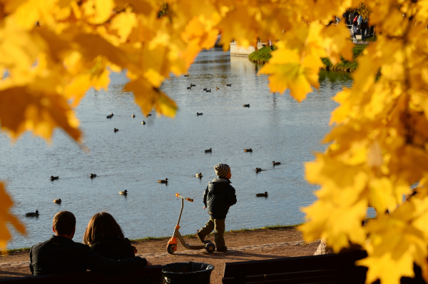  ���� ������ ������ ��������� ������ 