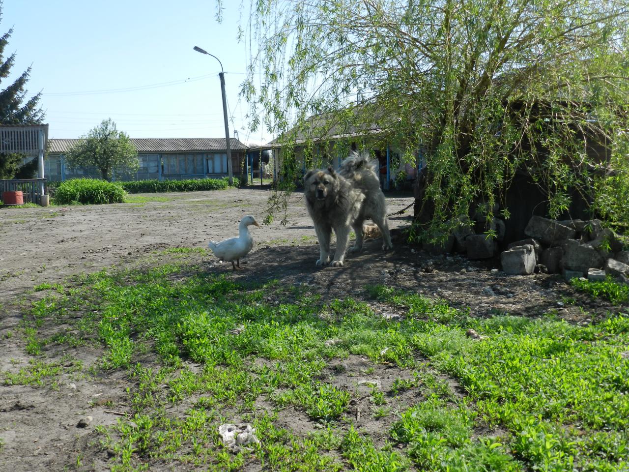  ��� ���������� �������� ������� ������� 