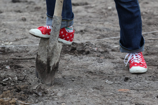 ����: nsn.fm