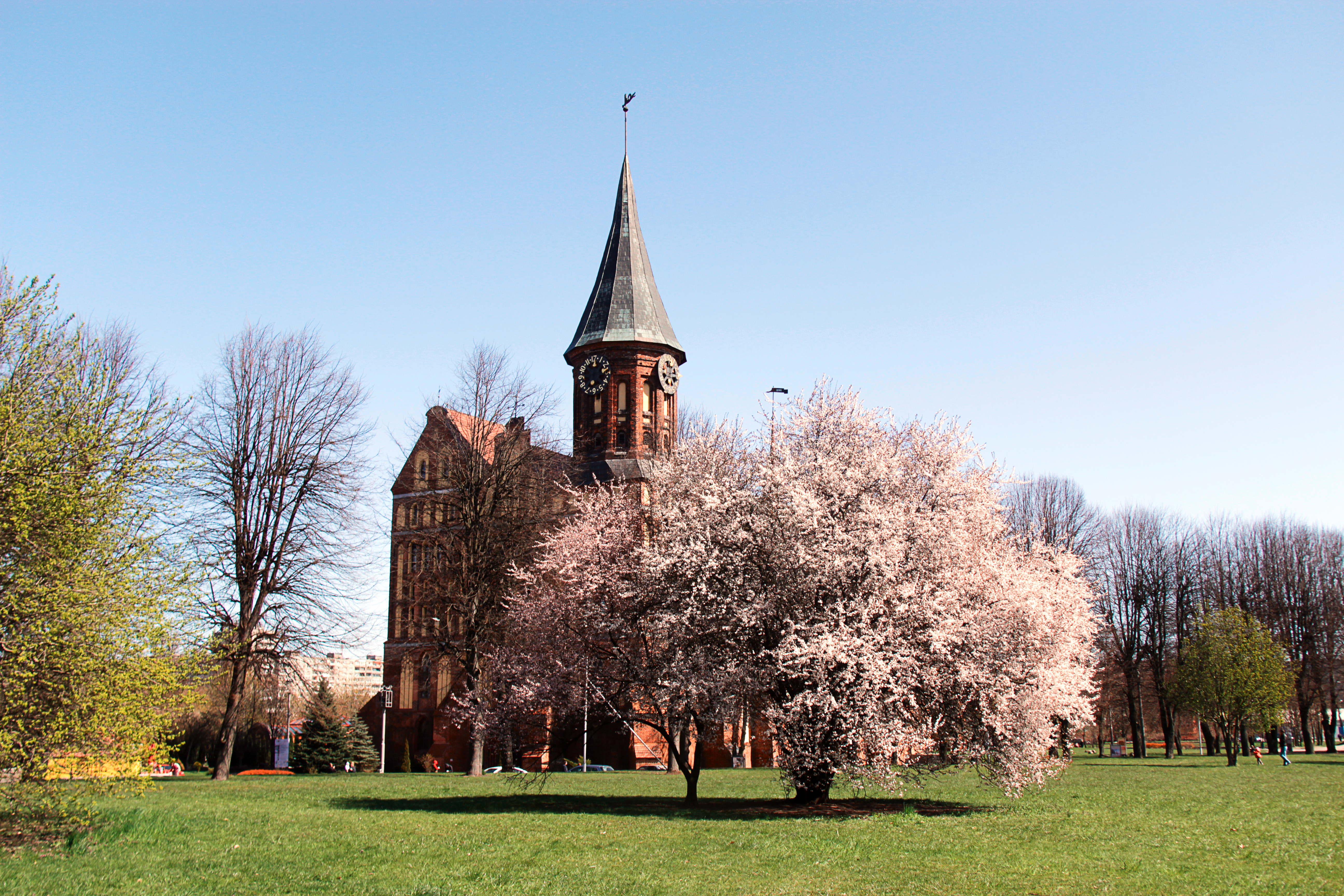  �������� ��������� ������� 