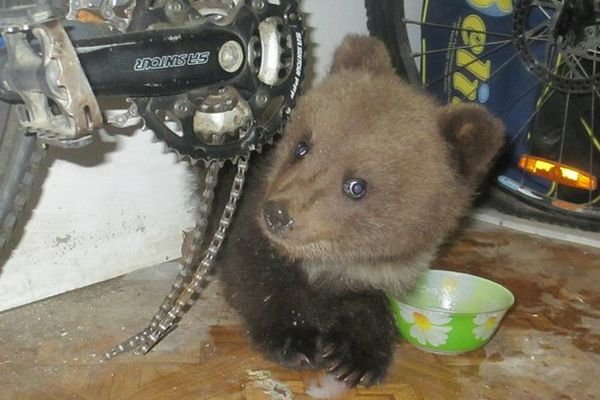  ����� ���� �������� �������� ���������� 