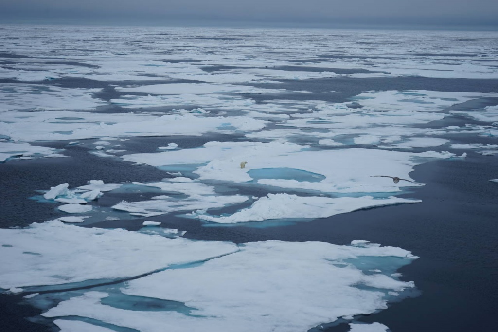 Здравствуй, Северный Ледовитый океан.JPG