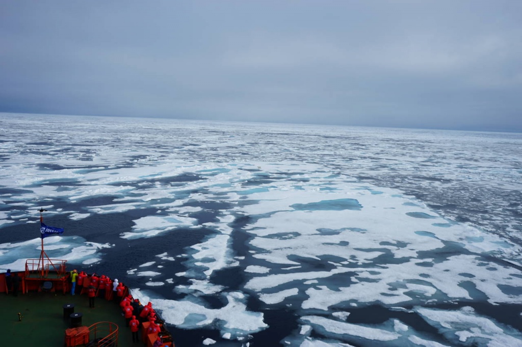 Вперед, на Северный полюс!.JPG Вперед, на Северный полюс!.JPG
